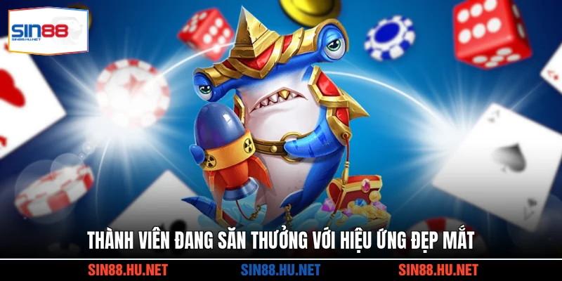 Thành viên đang săn thưởng với hiệu ứng đẹp mắt